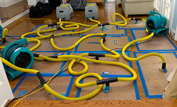 Professional Crawl Space Water Removal technician working in Augusta, MI